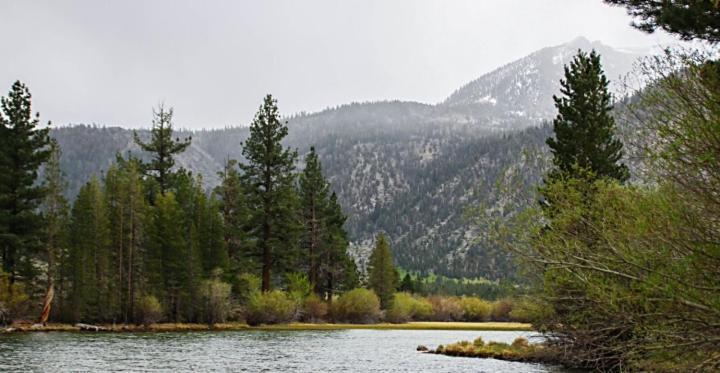June Lake Motel Екстериор снимка
